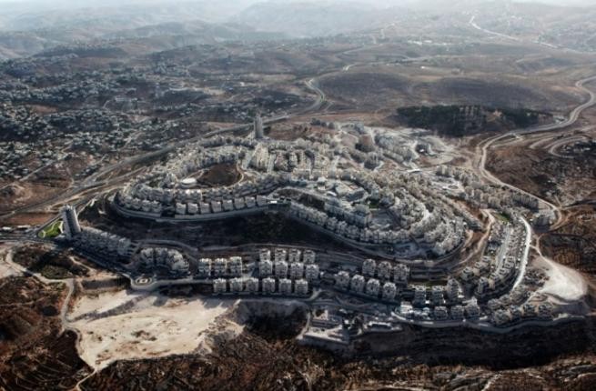 Palestine calls for international help to end Israel’s settlement expansion - ảnh 1